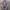 Japanese Brand Vintage Streetwear Legging Wanita Multicolor
