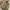 Vintage Leather jacket Pria tan photo 6