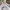Champion Vintage Y2K Jumper Pria white photo 3