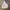 Champion Vintage Y2K Jumper Pria white photo 1