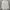 Uniqlo Casual Formal Shirt Pria White