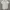 A.P.C. Casual Formal shirt Pria white photo 1