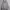 Independent Trucks Streetwear Hoody Pria gray photo 1