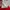 Streetwear Sweatshirt Pria red photo 6