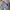 The North Face Streetwear Y2K Fleece Pria tan photo 8