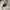 The North Face Streetwear Y2K Fleece Pria tan photo 7