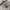 The North Face Streetwear Y2K Fleece Pria tan photo 4