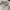 The North Face Streetwear Y2K Fleece Pria tan photo 3