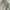 The North Face Streetwear Y2K Fleece Pria tan photo 6