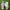 Playboy Streetwear Y2K Sneakers Pria multicolor white photo 1
