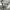 Carhartt Casual Hoody Pria gray photo 6