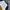 Lacoste Casual Sweater Pria white navy photo 2