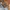 Avirex Vintage Leather jacket Pria tan photo 6