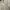 Casual Formal shirt Pria white photo 3