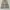 Wrangler Y2K Casual Casual pants Pria tan cream photo 6