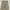 Wrangler Y2K Casual Casual pants Pria tan cream photo 7