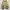 Japanese brand Streetwear Y2K Casual pants Pria tan khaki photo 5