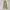 Japanese brand Streetwear Y2K Casual pants Pria tan khaki photo 2