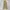 Japanese Brand Streetwear Y2K Casual Pants Pria Tan Khaki