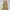 Japanese brand Streetwear Y2K Casual pants Pria tan khaki photo 8