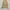 Japanese brand Streetwear Y2K Casual pants Pria tan khaki photo 6