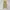 Japanese brand Streetwear Y2K Casual pants Pria tan khaki photo 1