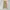 Japanese Brand Streetwear Y2K Casual Pants Pria Tan Khaki