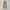 Japanese brand Streetwear Y2K Casual pants Pria tan khaki photo 3