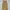 Japanese brand Streetwear Y2K Casual pants Pria tan khaki photo 7