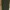 Uniqlo Minimalist Casual Skinny jeans Wanita green photo 7