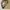 Japanese brand Streetwear Y2K Casual pants Pria tan khaki photo 8