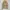 Japanese brand Streetwear Y2K Casual pants Pria tan khaki photo 7