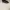 ZARA Avant Garde Heels Wanita black photo 4