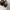 ZARA Avant Garde Heels Wanita black photo 3