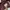 Lee Vintage Casual pants Pria burgundy photo 5