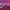 Pancoat Casual Sweatshirt Wanita pink photo 5