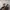 Converse Skater Casual Sneakers Pria multicolor photo 2