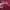 Dickies Casual Sweatshirt Pria red photo 5