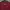 Dickies Casual Sweatshirt Pria red photo 3