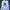 MLB Casual Sweatshirt Pria white photo 1