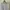 Streetwear Casual Sweatshirt Pria white photo 6