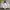 Biker Bomber jacket Pria white black photo 1