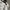 Biker Bomber jacket Pria white black photo 6