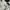 Biker Bomber jacket Pria white black photo 7