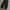 Dickies Streetwear Skater Casual pants Pria black photo 2