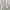 Shop Sassy Dream Fairy Coquette Summer dress Wanita multicolor photo 3