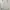 Shop Sassy Dream Fairy Coquette Summer dress Wanita multicolor photo 4