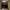 Dr. Martens Vintage Casual Boots Pria brown black photo 6