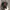 Chase Nascar Streetwear Y2K Hat Pria black photo 1