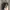 Chase Nascar Streetwear Y2K Hat Pria black photo 2